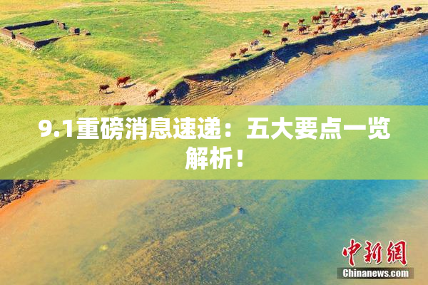 9.1重磅消息速递：五大要点一览解析！