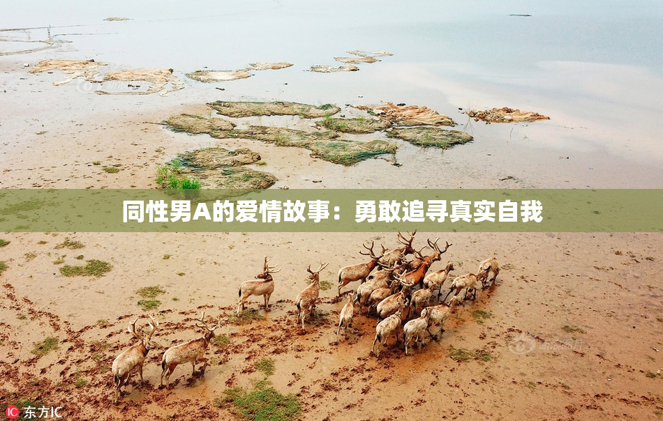 同性男A的爱情故事：勇敢追寻真实自我
