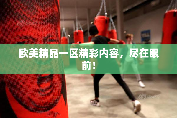 欧美精品一区精彩内容，尽在眼前！
