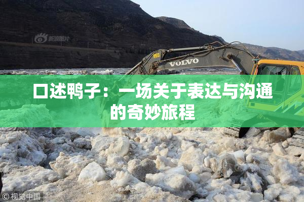 口述鸭子：一场关于表达与沟通的奇妙旅程