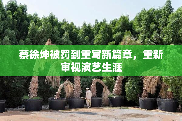 蔡徐坤被罚到重写新篇章，重新审视演艺生涯