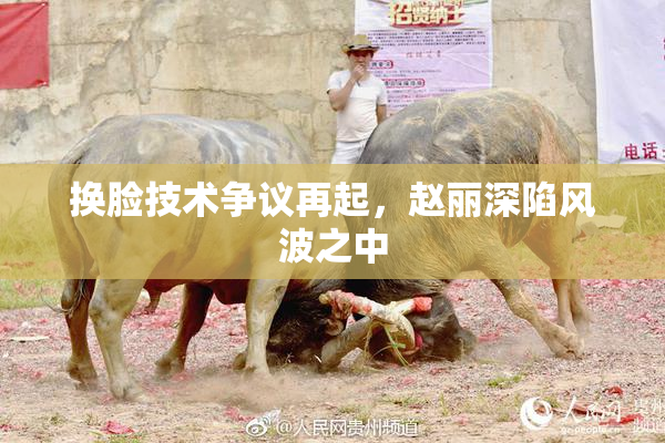 换脸技术争议再起，赵丽深陷风波之中