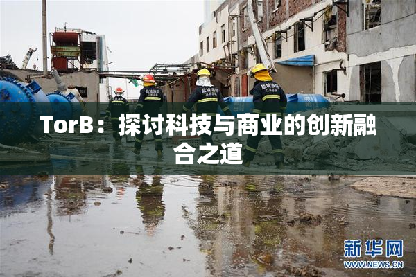 TorB：探讨科技与商业的创新融合之道