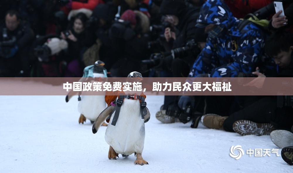 中国政策免费实施，助力民众更大福祉