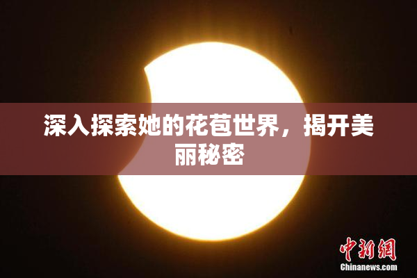 深入探索她的花苞世界，揭开美丽秘密