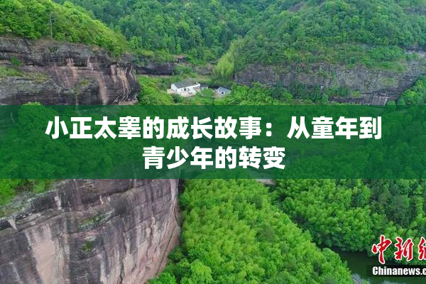 小正太睾的成长故事：从童年到青少年的转变