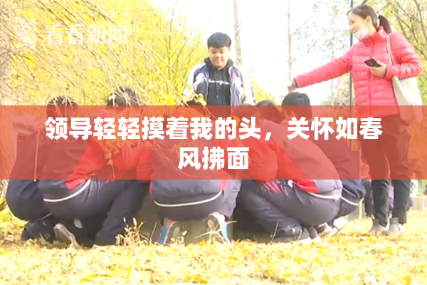 领导轻轻摸着我的头，关怀如春风拂面