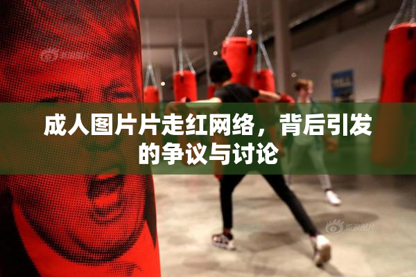 成人图片片走红网络，背后引发的争议与讨论