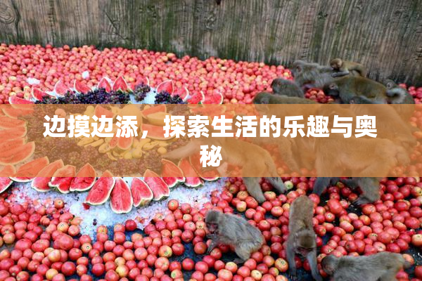 边摸边添，探索生活的乐趣与奥秘