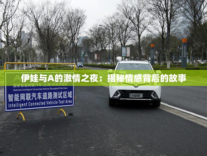 伊娃与A的激情之夜：揭秘情感背后的故事