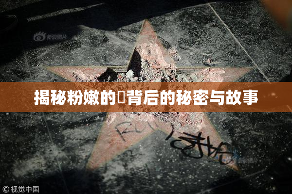 揭秘粉嫩的泬背后的秘密与故事