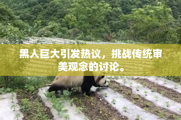 黑人巨大引发热议，挑战传统审美观念的讨论。