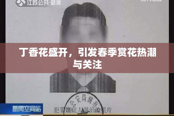 丁香花盛开，引发春季赏花热潮与关注