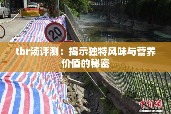 tbr汤评测：揭示独特风味与营养价值的秘密