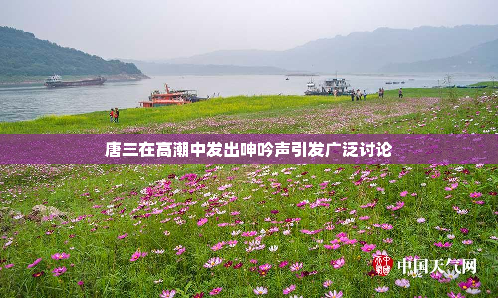 唐三在高潮中发出呻吟声引发广泛讨论