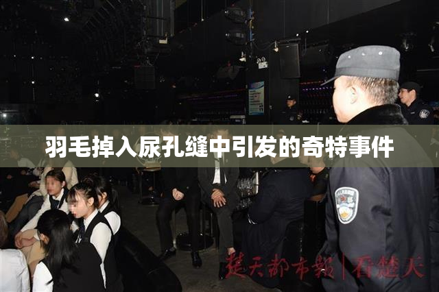 羽毛掉入尿孔缝中引发的奇特事件