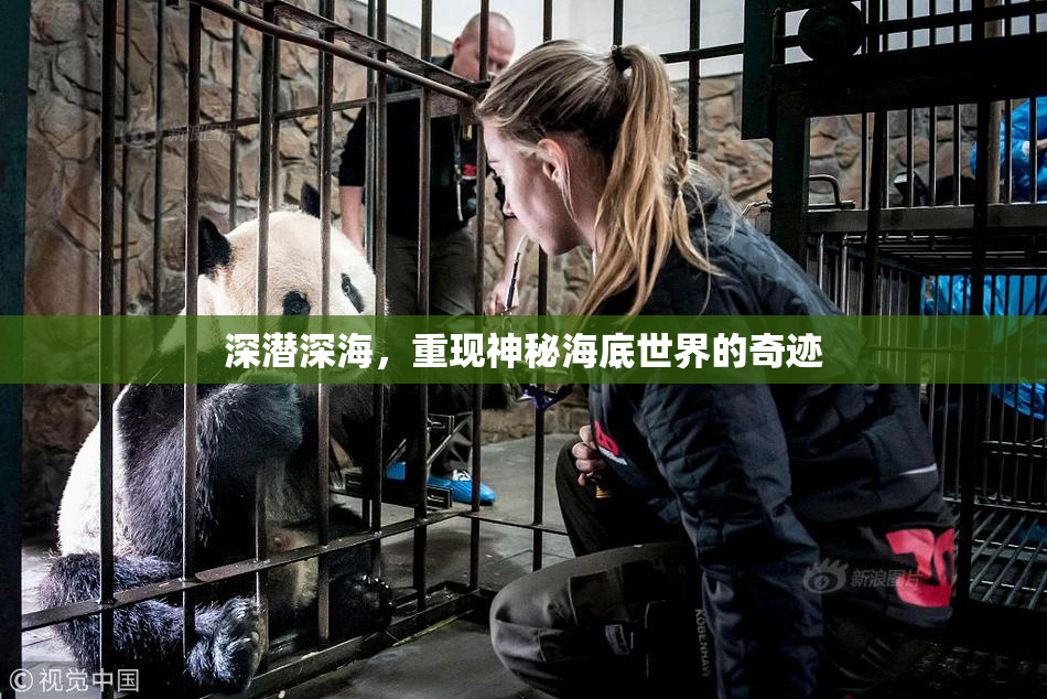 深潜深海，重现神秘海底世界的奇迹