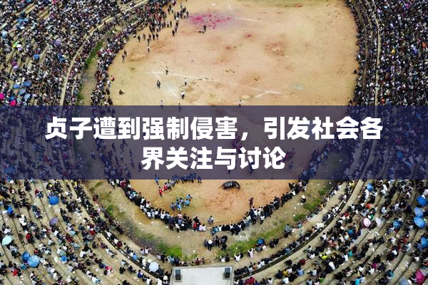 贞子遭到强制侵害，引发社会各界关注与讨论