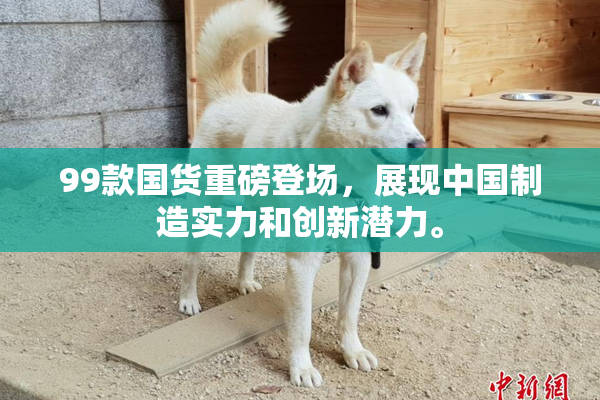 99款国货重磅登场，展现中国制造实力和创新潜力。