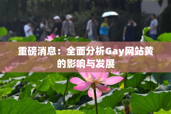 重磅消息：全面分析Gay网站黄的影响与发展