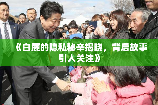 《白鹿的隐私秘辛揭晓，背后故事引人关注》