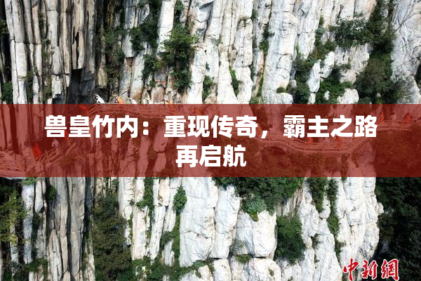 兽皇竹内：重现传奇，霸主之路再启航
