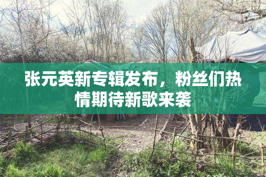 张元英新专辑发布，粉丝们热情期待新歌来袭