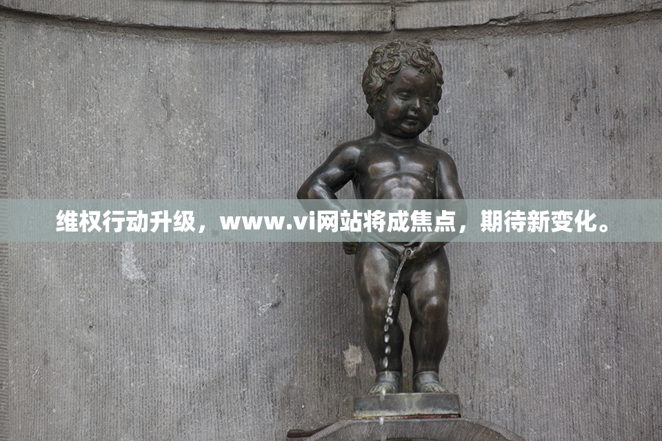 维权行动升级，www.vi网站将成焦点，期待新变化。