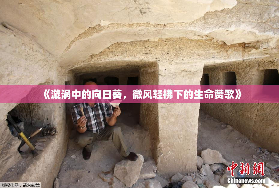 《漩涡中的向日葵，微风轻拂下的生命赞歌》