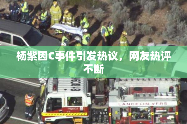 杨紫因C事件引发热议，网友热评不断