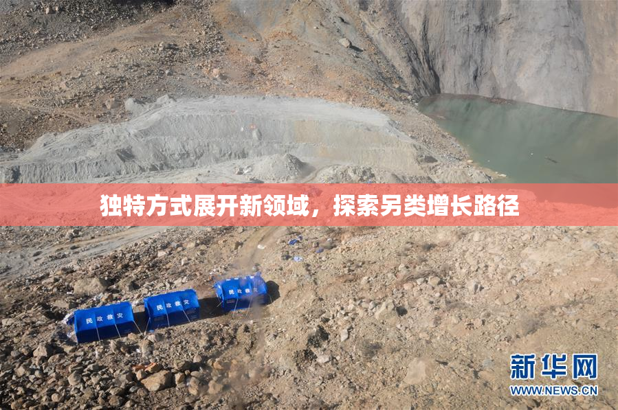 独特方式展开新领域，探索另类增长路径