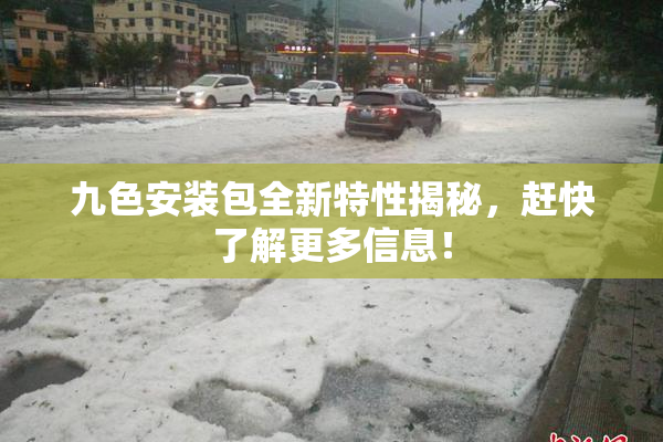 九色安装包全新特性揭秘，赶快了解更多信息！