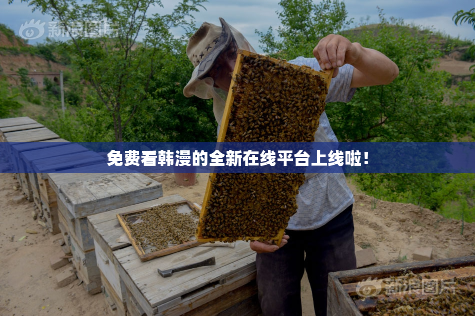 免费看韩漫的全新在线平台上线啦！