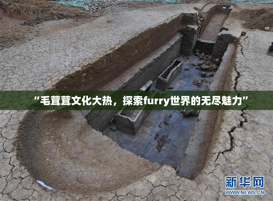 “毛茸茸文化大热，探索furry世界的无尽魅力”