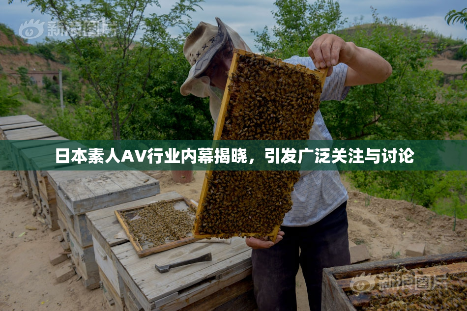 日本素人AV行业内幕揭晓，引发广泛关注与讨论