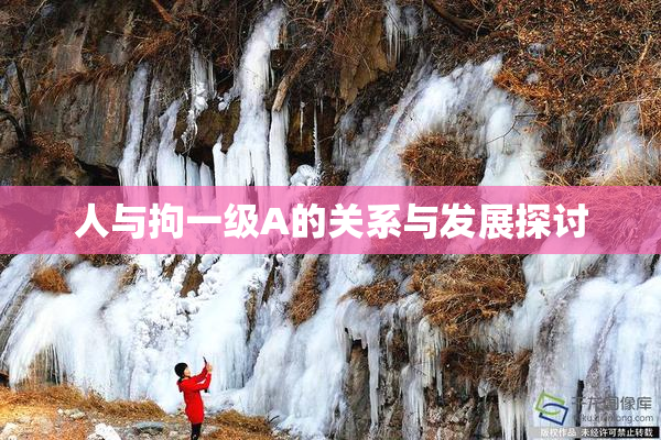 人与拘一级A的关系与发展探讨