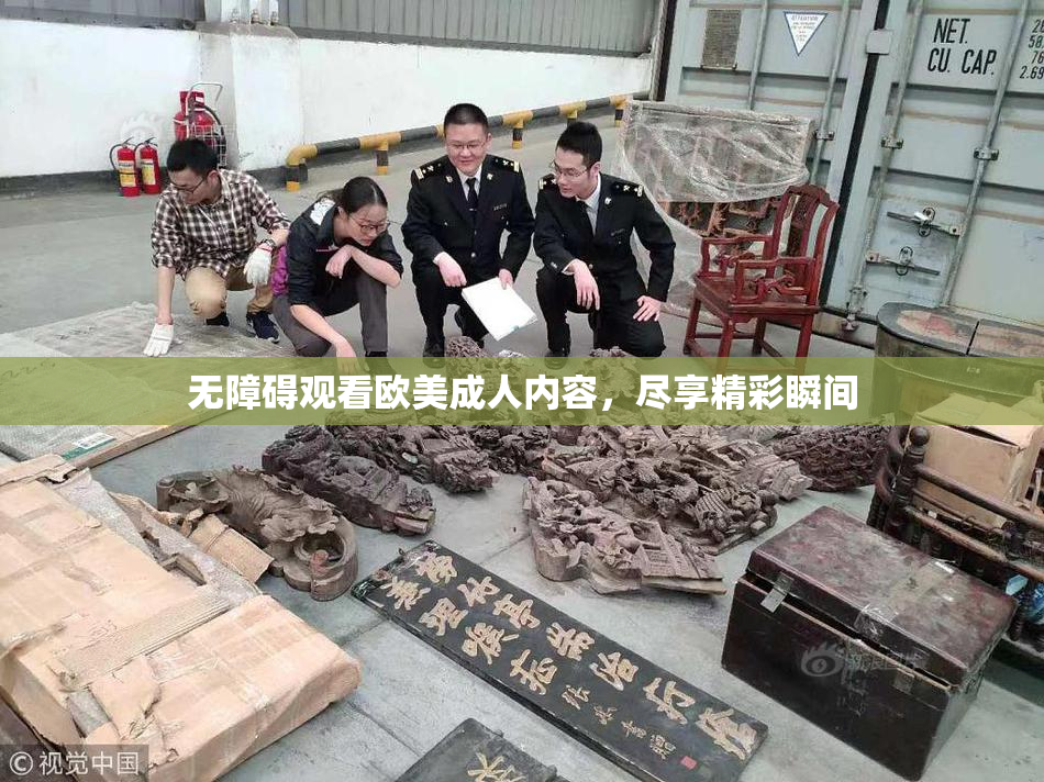 无障碍观看欧美成人内容，尽享精彩瞬间