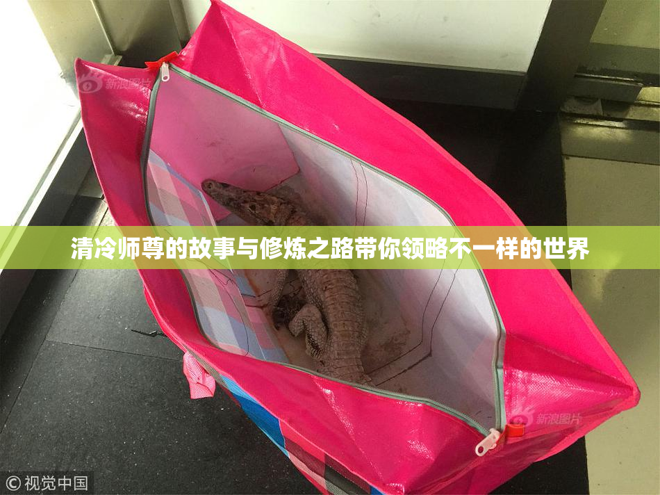 清冷师尊的故事与修炼之路带你领略不一样的世界