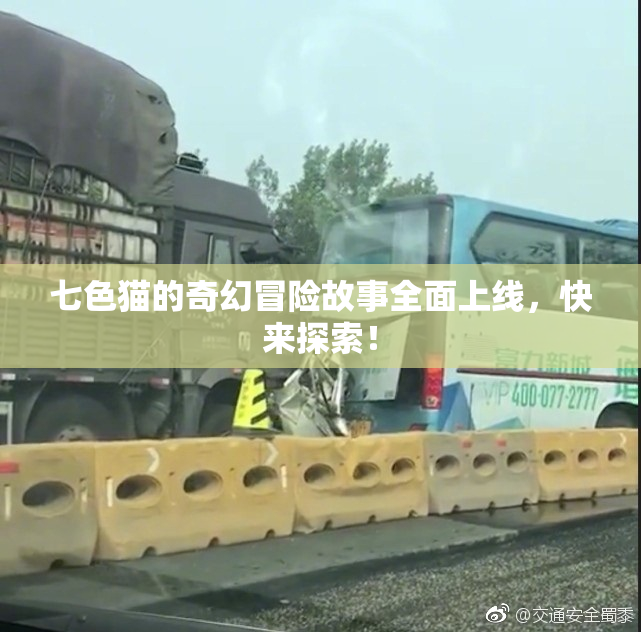 七色猫的奇幻冒险故事全面上线，快来探索！