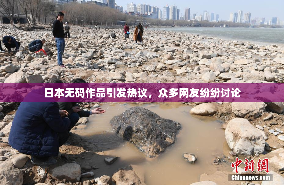 日本无码作品引发热议，众多网友纷纷讨论