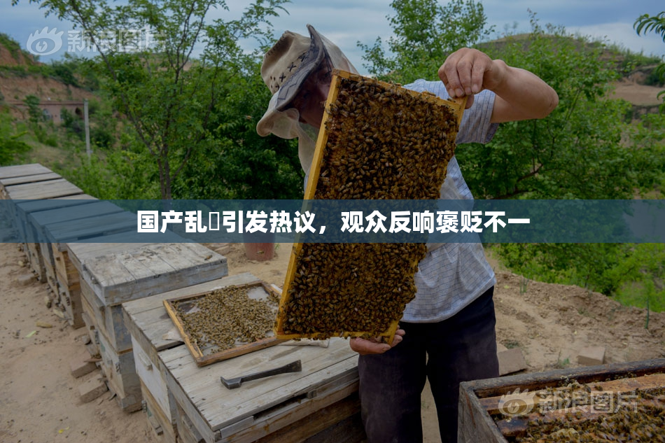 国产乱婬引发热议，观众反响褒贬不一