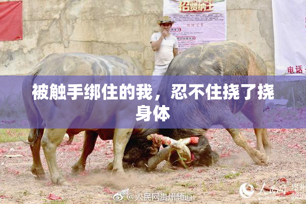 被触手绑住的我，忍不住挠了挠身体