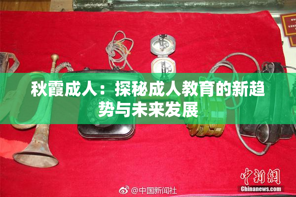 秋霞成人：探秘成人教育的新趋势与未来发展