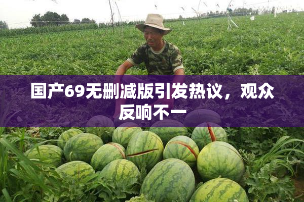 国产69无删减版引发热议，观众反响不一