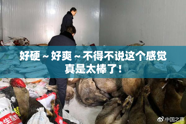 好硬～好爽～不得不说这个感觉真是太棒了！