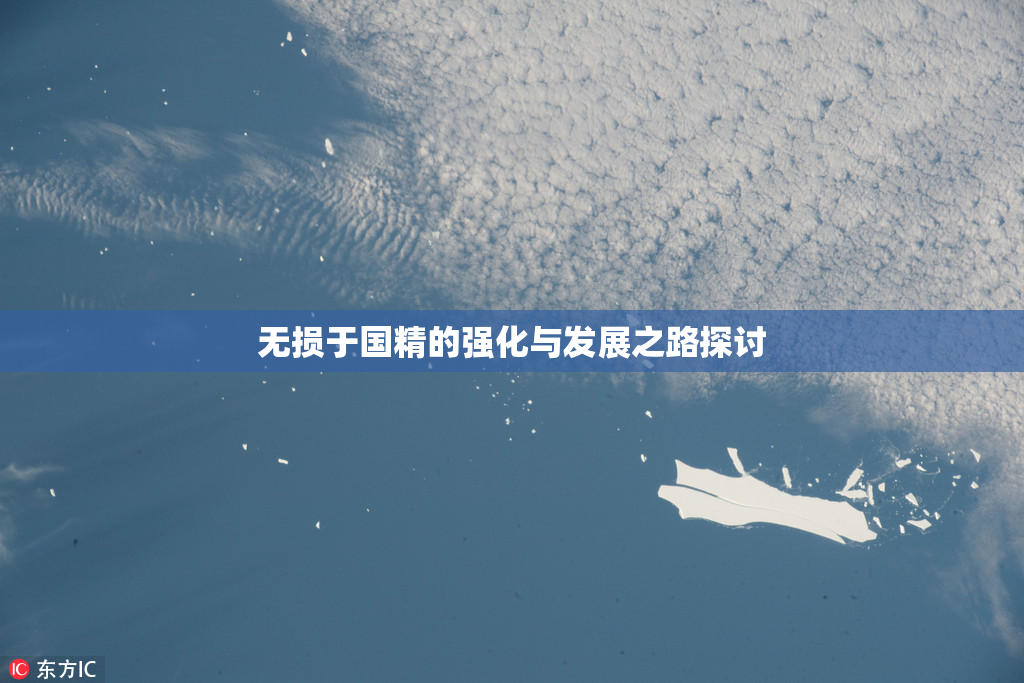 无损于国精的强化与发展之路探讨