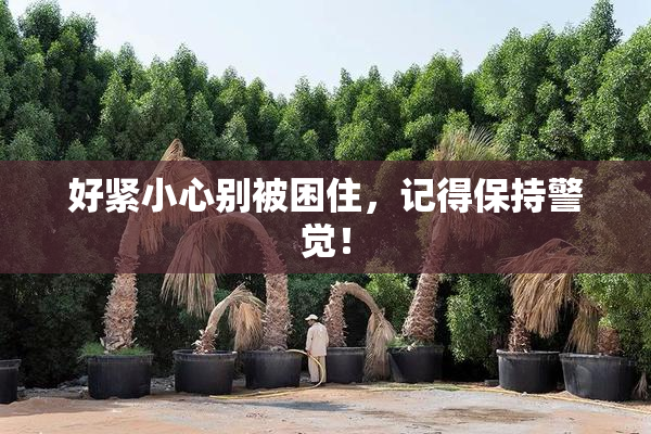 好紧小心别被困住，记得保持警觉！