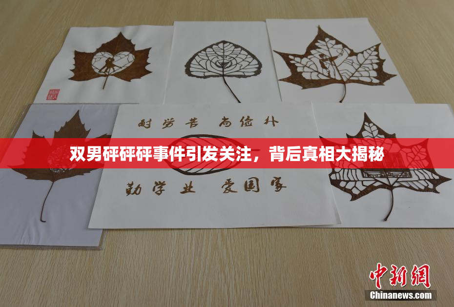 双男砰砰砰事件引发关注，背后真相大揭秘
