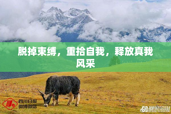 脱掉束缚，重拾自我，释放真我风采