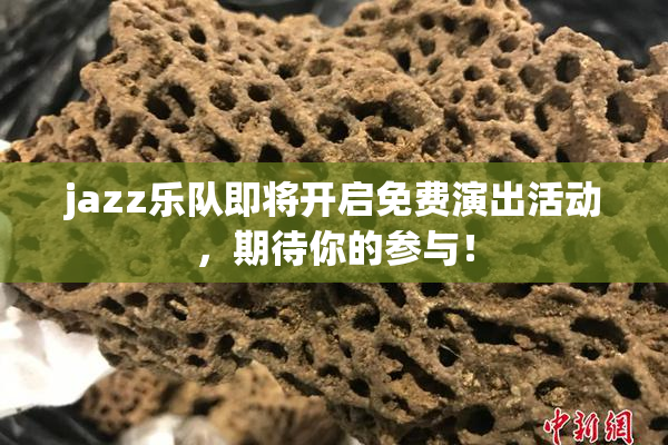 jazz乐队即将开启免费演出活动，期待你的参与！